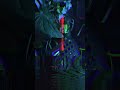 house wife is cooking your dinner #digitakt #electronicmusic #musicatechno #house #synth
