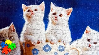 КОТЯТА. Как собрать пазл 500 элементов Castorland Puzzle 500 КОТЯТА. Как собрать пазл 500 элементов Castorland Puzzle 500
