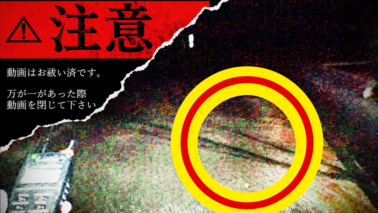 【※閲覧注意】完全に人影がついてきた