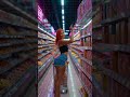 late night grocery runs. the terminal is open. 🌐Visit Gasp.Fun