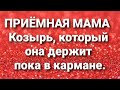 Дневник приёмной мамы/Обзор.