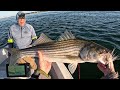 Striped bass fishing comes alive top to bottom