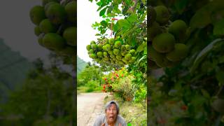 Survival skills: SIMPLE but VERY USEFUL with figs #shorts