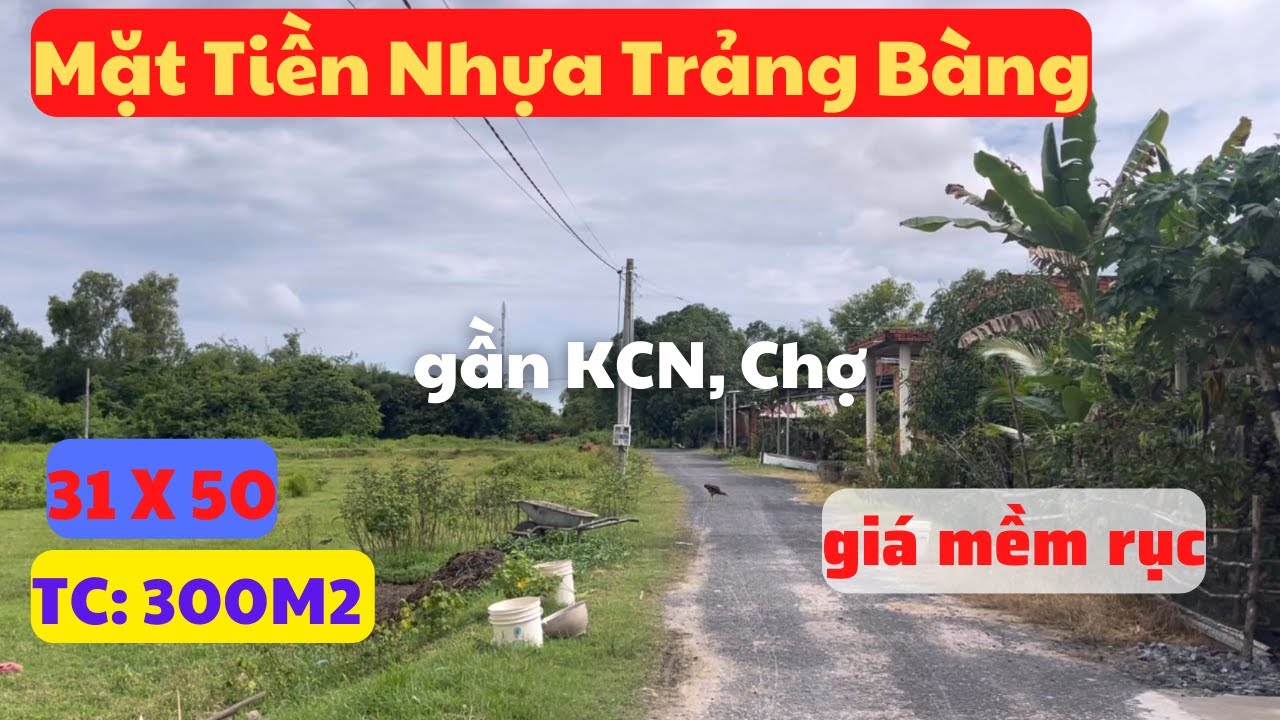 31X50 TC 300 Mặt Tiền Nhựa Trảng Bàng, Tây Ninh, gần KCN Chợ, giá mềm rục.