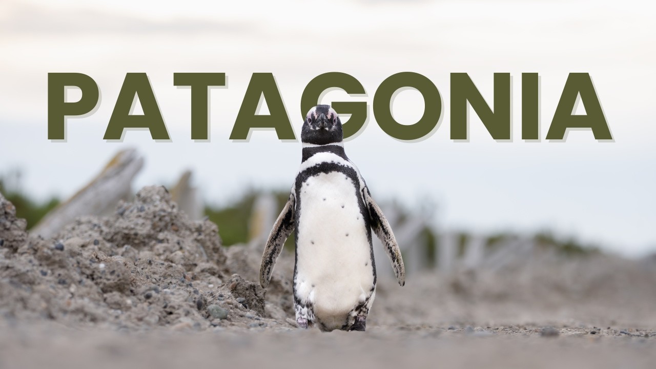 PATAGONIA - ARGENTINA E CILE