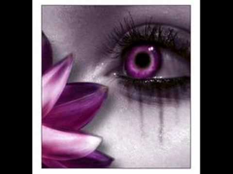 במכתב האחרון 