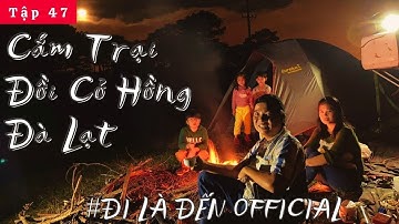 Tập 47 : Gia Đình Nhỏ Đi là Đến Official Cắm Trại Đồi Cỏ Hồng Đà Lạt