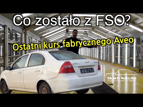 Wideo: Co oznacza FSO w biznesie?