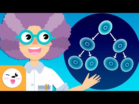 Vídeo: Quina és la definició de part en biologia?