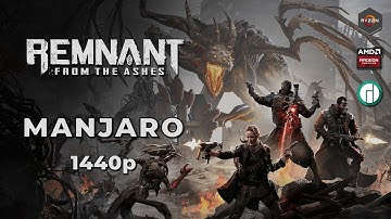 Remnant From the Ashes | Manjaro 20.0.3 | RX 5700 + Ryzen 3 3300x | 1440p | Linux Gaming
