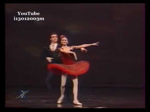 Galina Stepanenko-Yuri Klevtsov-"Don Quixote" Grand Pas Act 3 10/10