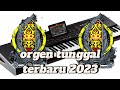 Berbagi music terbaru 2024 lulo electone sakit gigi remix 