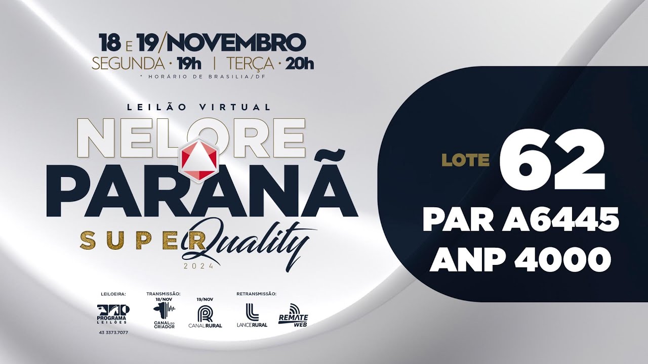 LOTE 62 PAR A6445 ANP 4000 - YouTube