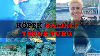 TAYLAND'IN EN GÜZEL ADASI KOH TAO'DA KÖPEK BALIKLI DENİZ'DE YÜZDÜM!!