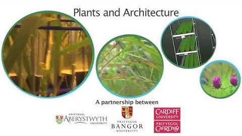 Plants & Archtecture +subtitles