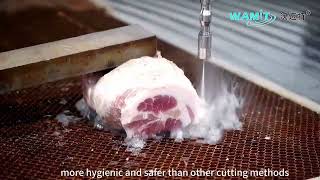 WAMIT Pure Waterjet Cutting Machine for Meat Cutting