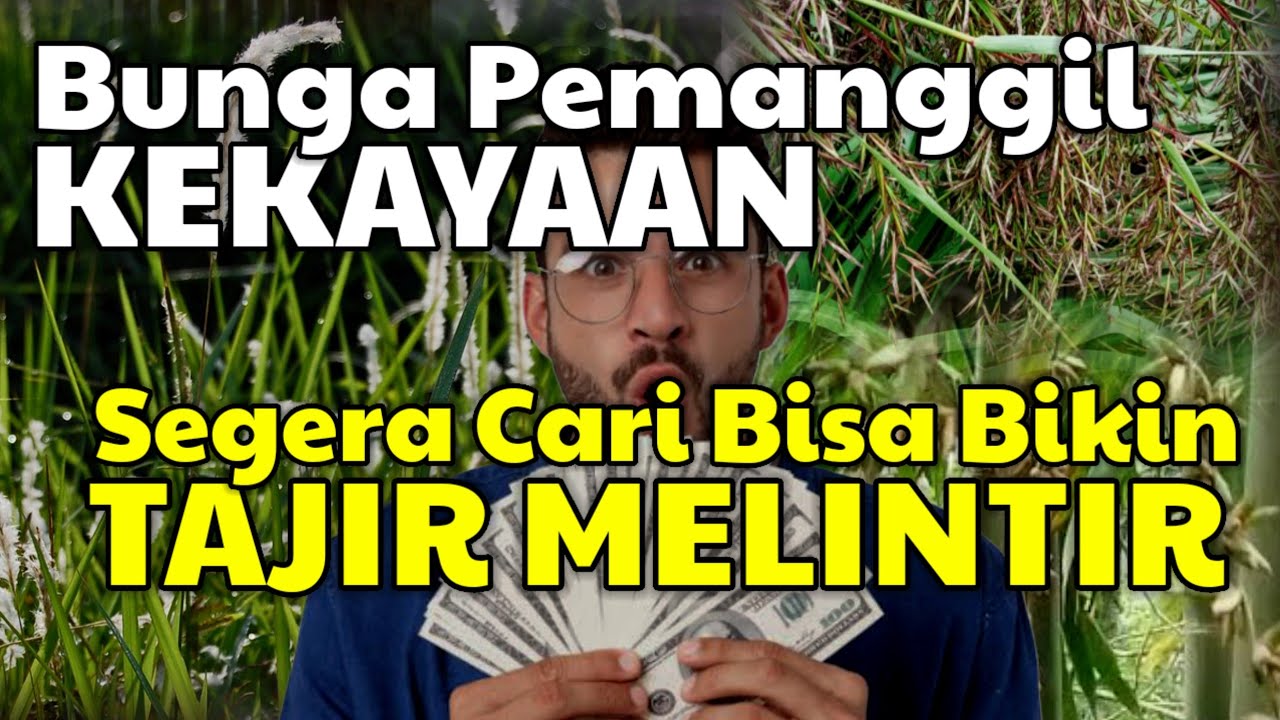 AMBIL DAN LANGSUNG BAWA PULANG! 4 Bunga langka yang memiliki tuah kesaktian yang luarbiasa