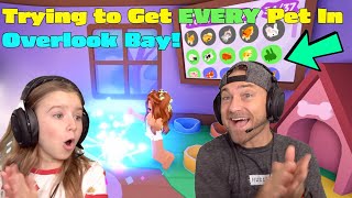 We Try To Get EVERY Pet In Roblox OVERLOOK BAY!
