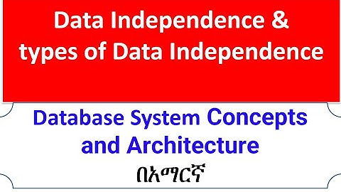 Data Independence in Database Systems Amharic