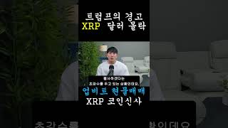 [리플 XRP] 총소리 한 방에 멈춘 미국 정부, 민주당의 셧다운 승부수에 숨겨진 충격적 시나리오