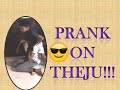 PRANK ON THEJU!!!..Very Funny Video...T&T Kids.. #Funny #Fun #Pranth