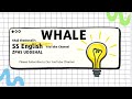 Whale #Whale #Shasha #zphsuddehal #cartoon #marine