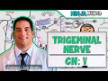 Neurology | Trigeminal Nerve | Cranial Nerve V