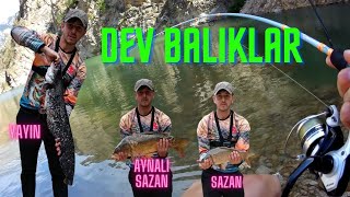 AYNALI SAZAN, SAZAN, YAYIN AVI   üç saatte üç dev balık, nasıl yakalanır_#sazanavı #sazan