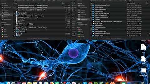 Liver Tumor Detection – Object Detection