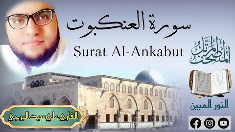 المصحف المرتل | سورة العنكبوت مكتوبة القارئ علي سيد البرجي ١٤٤٦ هجرية Surat Al-Ankabut