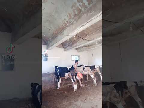 شكرا بجد على كل حد وجعني