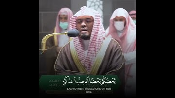 سورة الحجرات للشيخ ياسر الدوسري