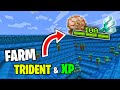 Minecraft Easiest Trident Farm 1.21 - AFK XP Drowned Farm