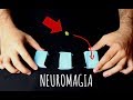 Aprende cómo te engañan los trileros - NeuroMagia