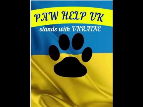 Ukraine Paw Help