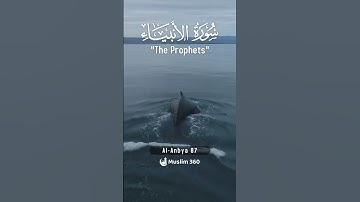 Surah Al-Anbiya 87 - Hindi/Urdu Audio |سورة الأنبياء #surahalanbiya #muslim360