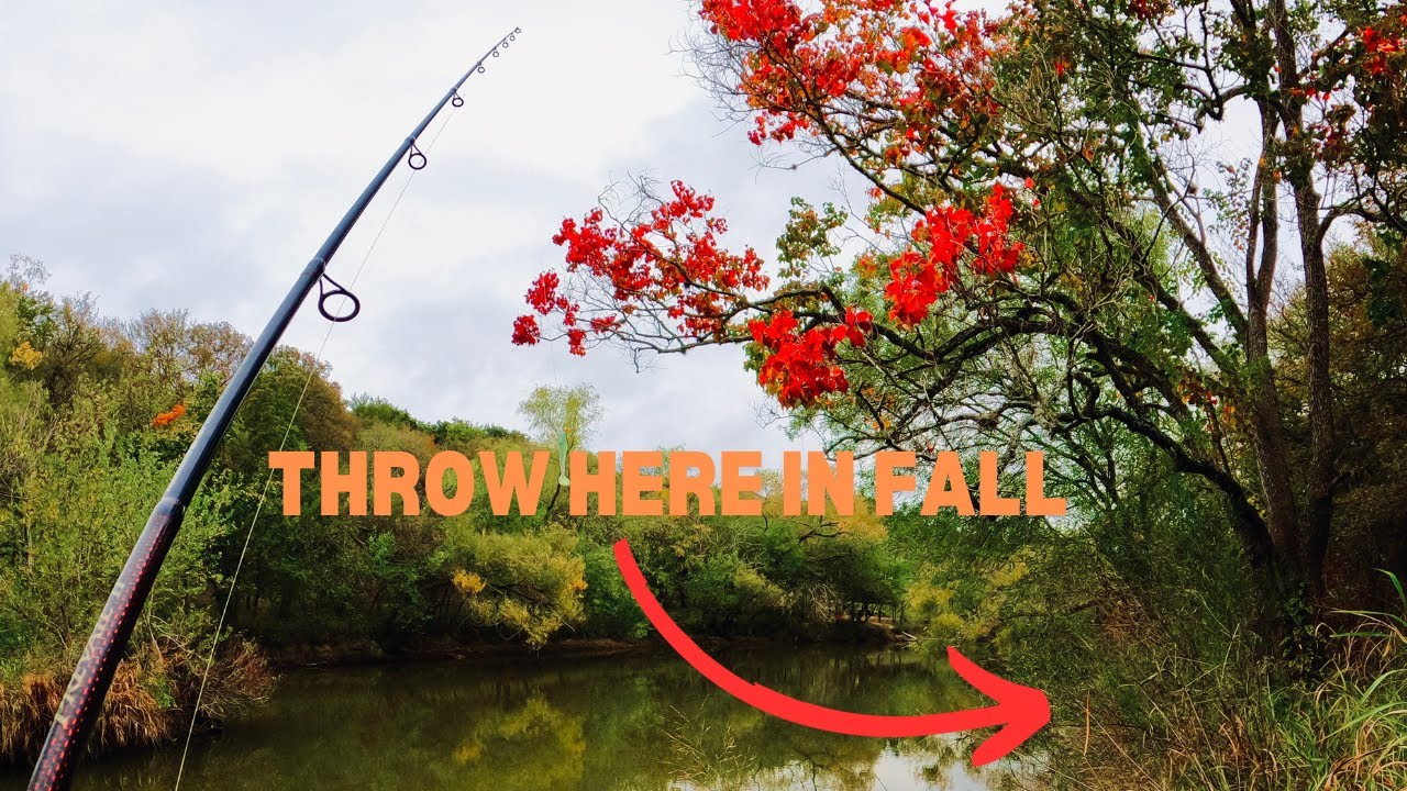 FISHING San Antonio’s PRESSURED Water EASY #fishing #fishinglife #bassfishing