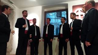 Video voorbeeld van "Lipa Moja by Klapa Motovun"