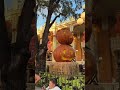 Celebrated the first day of fall at Disney’s Magic Kingdom #disneymagic #disneyday #explore #fall