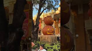 Celebrated the first day of fall at Disney’s Magic Kingdom #disneymagic #disneyday #explore #fall