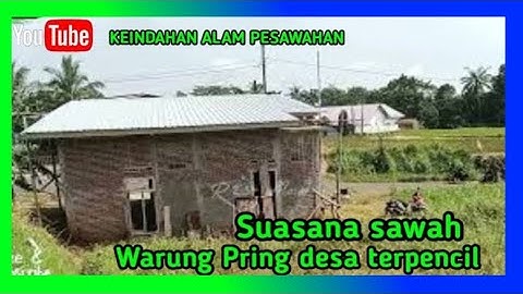 KEINDAHAN ALAM PESAWAHAN ⁉️ the natural beauty of the rice fields, || Desa warungpring  bikin kangen