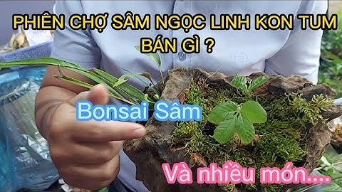 PHIÊN CHỢ SÂM NGỌC LINH KON TUM BÁN GÌ ?