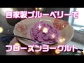 【作ってみた】自家製ブルーベリーでフローズンヨーグルト