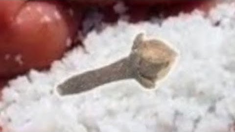 14 जुलाई सावन सोमवार की रात इस जगह फेंक देना 1 मुट्ठी नमक बनोगे धनवान #bageshwardham