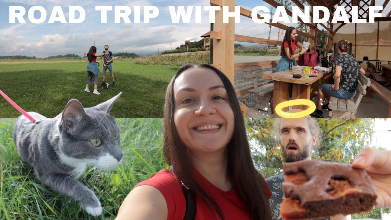 Road Trip to Italy | Rest break in Slovenia & Arrival in Montà