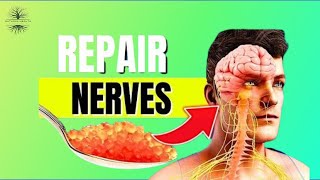 7 Incredible Vitamins To Repair Nerve Damage