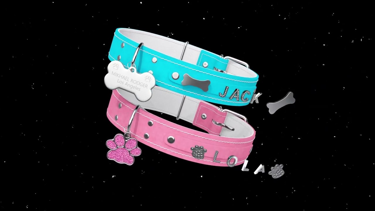 new video belt 20224