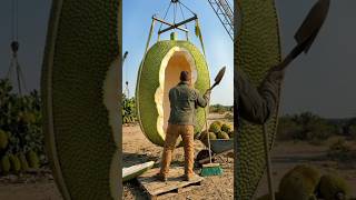 Turning A Giant Jackfruit Into A Tiny Home