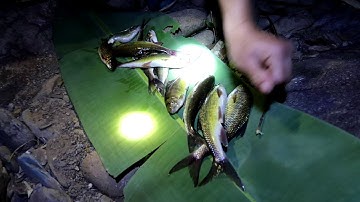 Bắt cá suối đầu nguồn tập 2 : lõi chuối rừng nộm sống trộn cá suối nướng