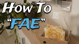 How To Fresh Air Exchange Your Mushroom Grow Kit - FAE the Right Way!